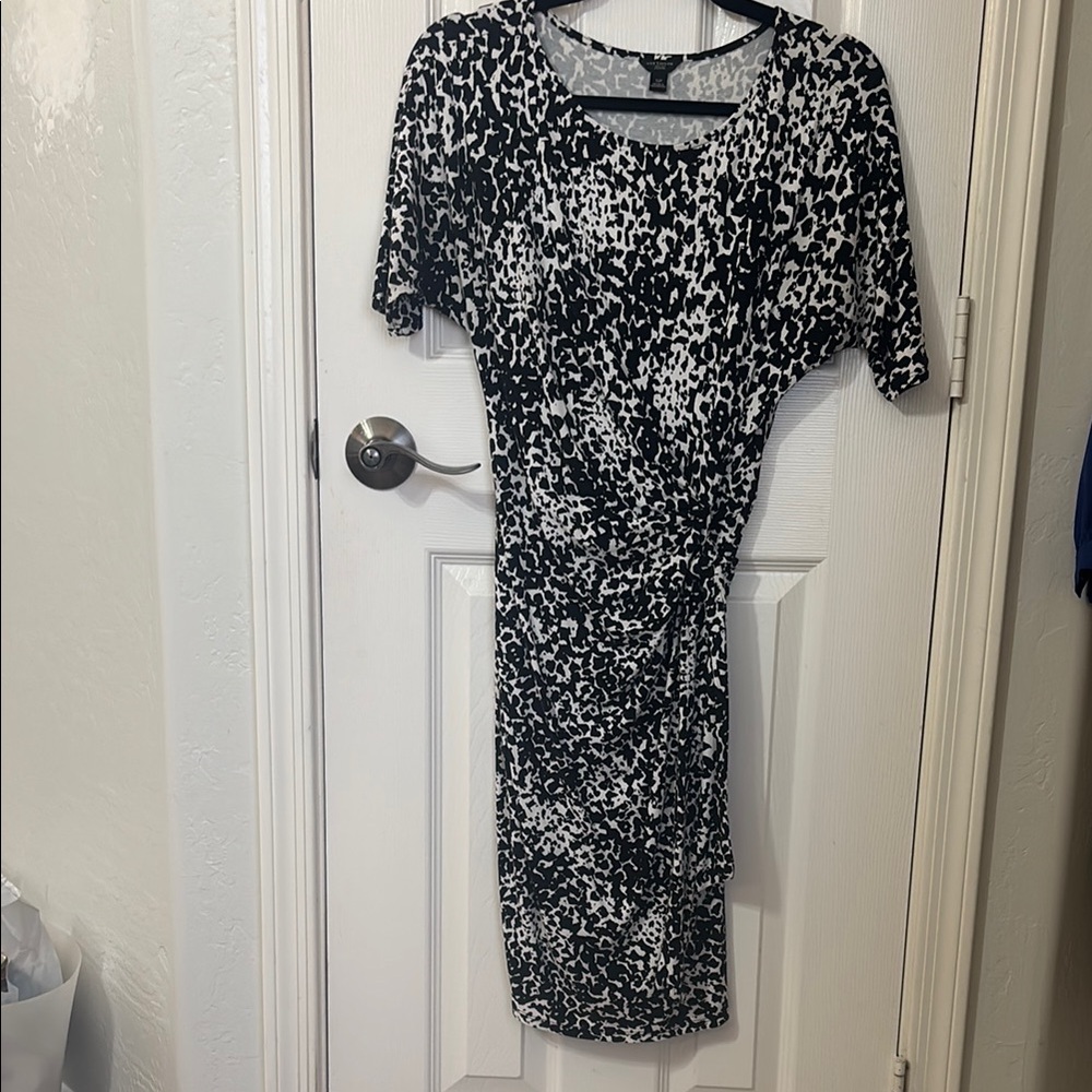 Stylish Black and White Women's Ann Taylor Dress